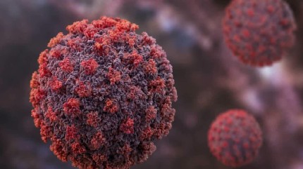 Repeated Flu And Covid-19 Infections Linked To Higher Parkinson’s Risk, CCMB Study Finds