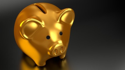 Explained | What Is PPF And Its Benefits: Check Interest Rates, Tenure, Tax Rebate