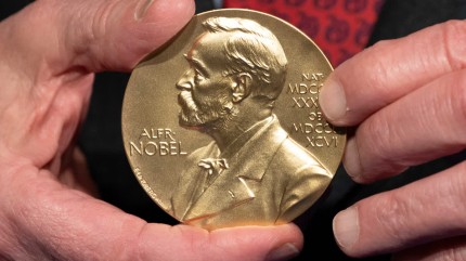 Research Into Weight-loss Drugs Tipped For Nobel As Award Week Opens
