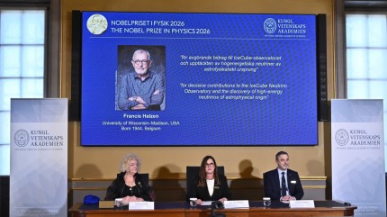 Nobel Prize In Physics 2026 Awarded To Francis Halzen For Discovering Neutrinos Of Astrophysical Origin