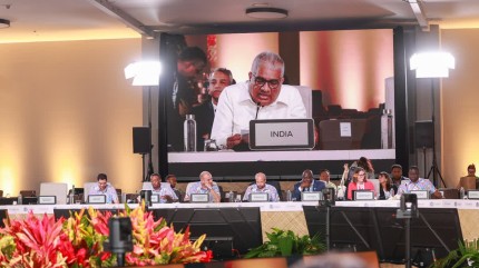 'Move Beyond Climate Rhetoric': India Calls For Flexible And Pragmatic Approach For Balanced Outcomes At COP31