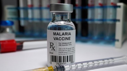 Bharat Biotech, Gavi and UNICEF Sign Deal to Cut Malaria Vaccine Price by 40%